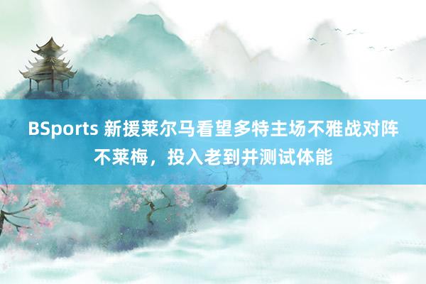 BSports 新援莱尔马看望多特主场不雅战对阵不莱梅，投入老到并测试体能