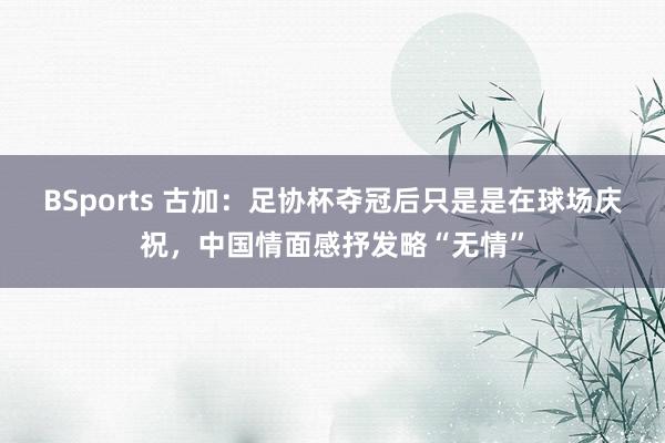 BSports 古加：足协杯夺冠后只是是在球场庆祝，中国情面感抒发略“无情”