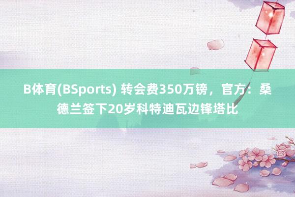 B体育(BSports) 转会费350万镑，官方：桑德兰签下20岁科特迪瓦边锋塔比