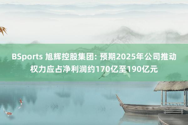 BSports 旭辉控股集团: 预期2025年公司推动权力应占净利润约170亿至190亿元