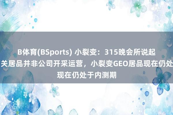 B体育(BSports) 小裂变：315晚会所说起的GEO有关居品并非公司开采运营，小裂变GEO居品现在仍处于内测期