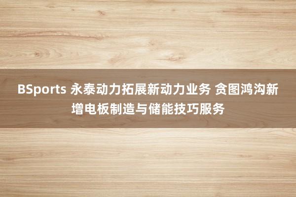 BSports 永泰动力拓展新动力业务 贪图鸿沟新增电板制造与储能技巧服务
