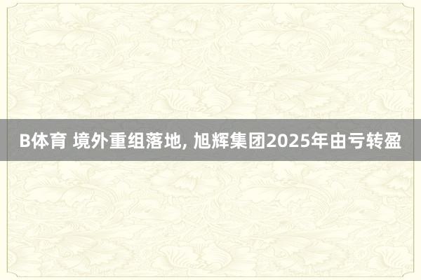 B体育 境外重组落地， 旭辉集团2025年由亏转盈