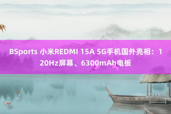 BSports 小米REDMI 15A 5G手机国外亮相：120Hz屏幕、6300mAh电板