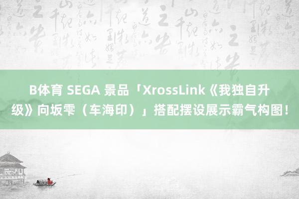 B体育 SEGA 景品「XrossLink《我独自升级》向坂雫（车海印）」搭配摆设展示霸气构图！