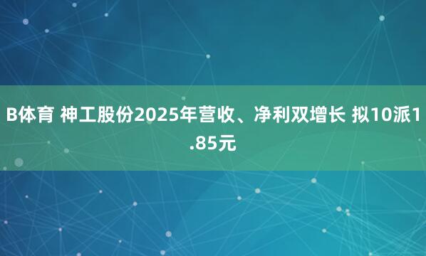 B体育 神工股份2025年营收、净利双增长 拟10派1.85元