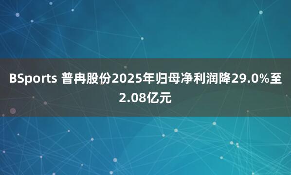 BSports 普冉股份2025年归母净利润降29.0%至2.08亿元