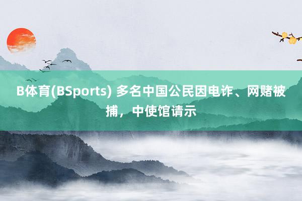 B体育(BSports) 多名中国公民因电诈、网赌被捕，中使馆请示