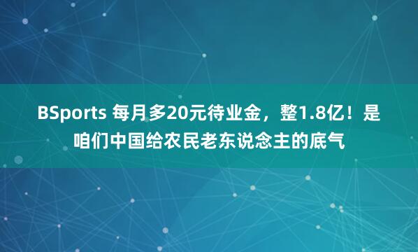 BSports 每月多20元待业金，整1.8亿！是咱们中国给农民老东说念主的底气