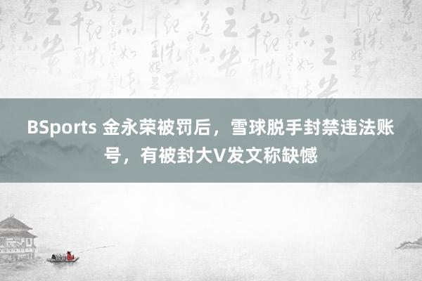 BSports 金永荣被罚后，雪球脱手封禁违法账号，有被封大V发文称缺憾