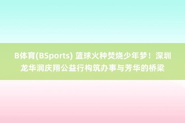 B体育(BSports) 篮球火种焚烧少年梦！深圳龙华润庆翔公益行构筑办事与芳华的桥梁