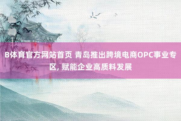 B体育官方网站首页 青岛推出跨境电商OPC事业专区, 赋能企业高质料发展