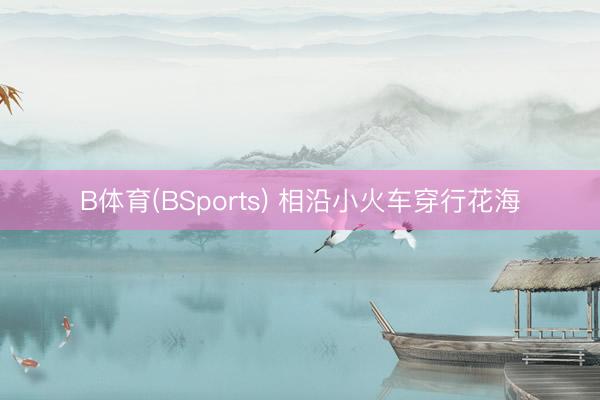 B体育(BSports) 相沿小火车穿行花海