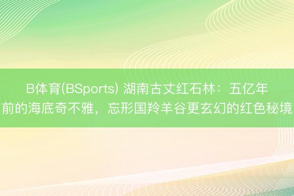 B体育(BSports) 湖南古丈红石林：五亿年前的海底奇不雅，忘形国羚羊谷更玄幻的红色秘境