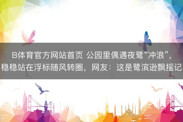 B体育官方网站首页 公园里偶遇夜鹭“冲浪”，稳稳站在浮标随风转圈，网友：这是鹭滨逊飘摇记