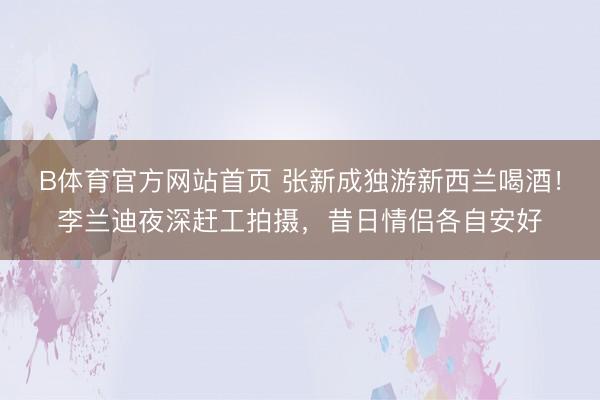 B体育官方网站首页 张新成独游新西兰喝酒！李兰迪夜深赶工拍摄，昔日情侣各自安好