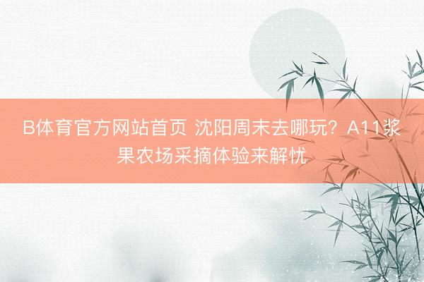 B体育官方网站首页 沈阳周末去哪玩？A11浆果农场采摘体验来解忧