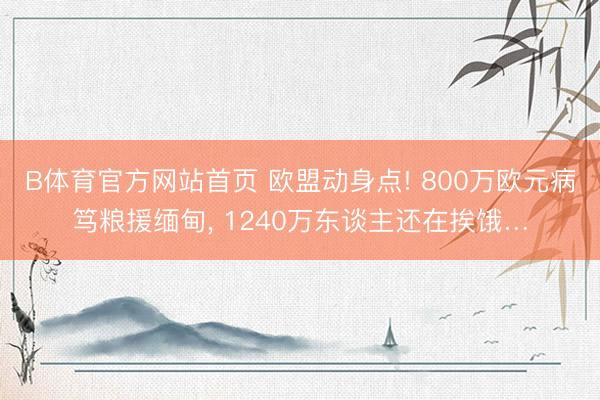 B体育官方网站首页 欧盟动身点! 800万欧元病笃粮援缅甸， 1240万东谈主还在挨饿…