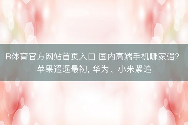 B体育官方网站首页入口 国内高端手机哪家强? 苹果遥遥最初， 华为、小米紧追