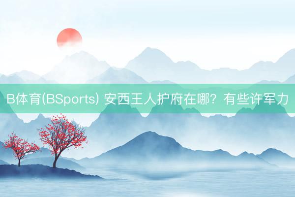 B体育(BSports) 安西王人护府在哪?有些许军力