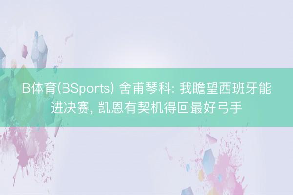 B体育(BSports) 舍甫琴科: 我瞻望西班牙能进决赛， 凯恩有契机得回最好弓手