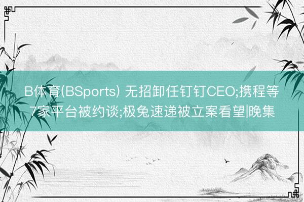 B体育(BSports) 无招卸任钉钉CEO;携程等7家平台被约谈;极兔速递被立案看望|晚集