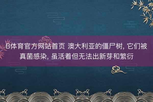 B体育官方网站首页 澳大利亚的僵尸树， 它们被真菌感染， 虽活着但无法出新芽和繁衍
