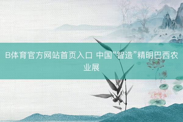 B体育官方网站首页入口 中国“智造”精明巴西农业展