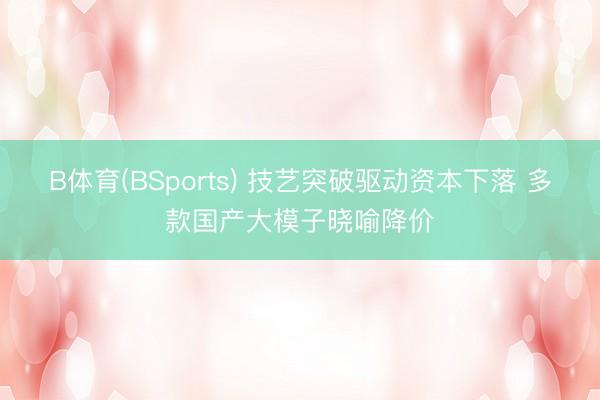 B体育(BSports) 技艺突破驱动资本下落 多款国产大模子晓喻降价