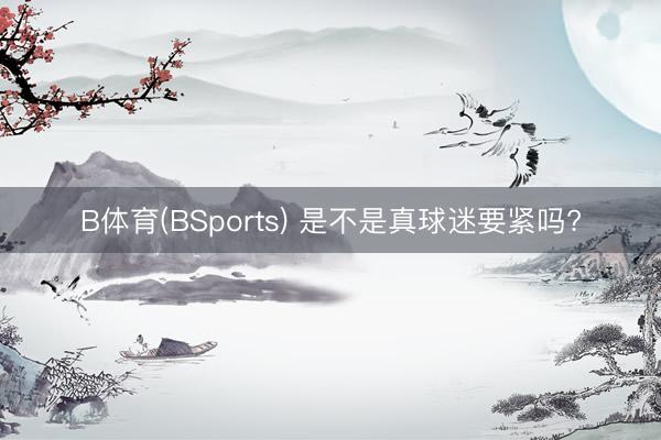 B体育(BSports) 是不是真球迷要紧吗?
